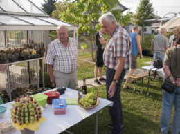  2016 09 02 Kakteenhock bei Gutbrods